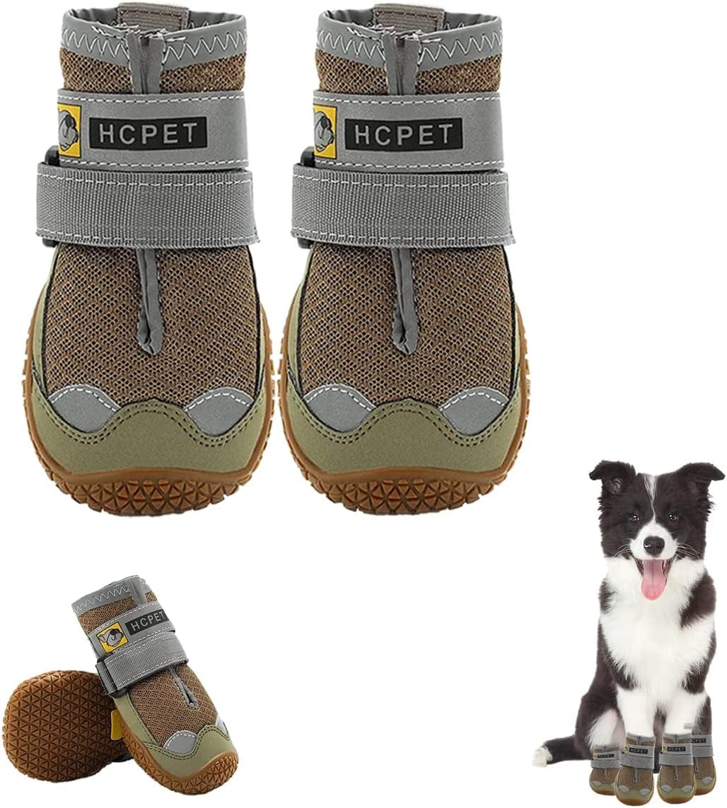 Do Dogs Need Shoes In Summer