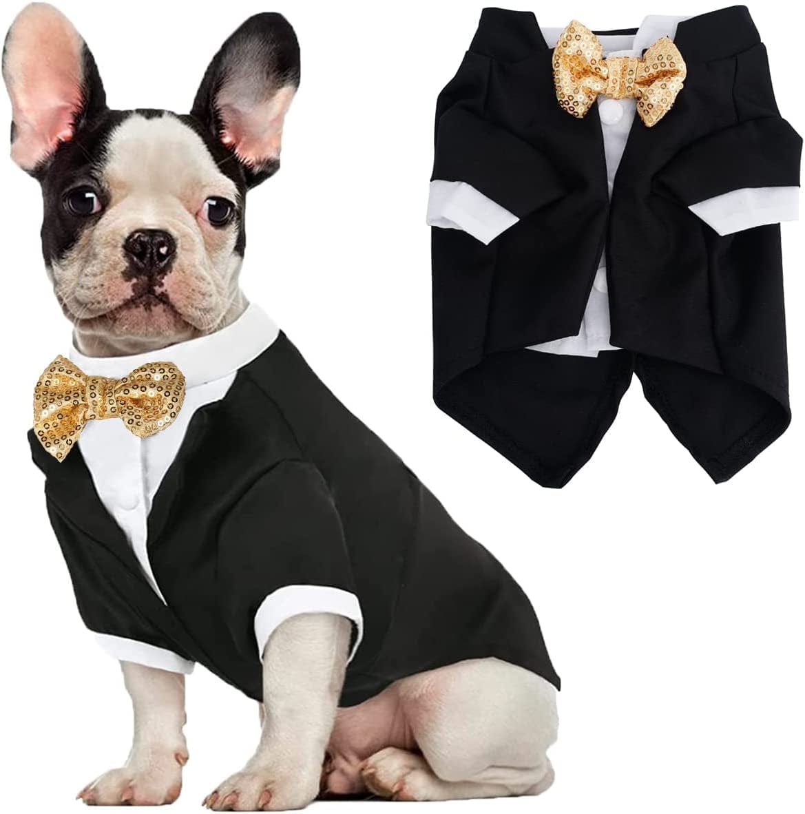 Black and White Dog Dress With Big Ribbon Chihuahua Clothes 