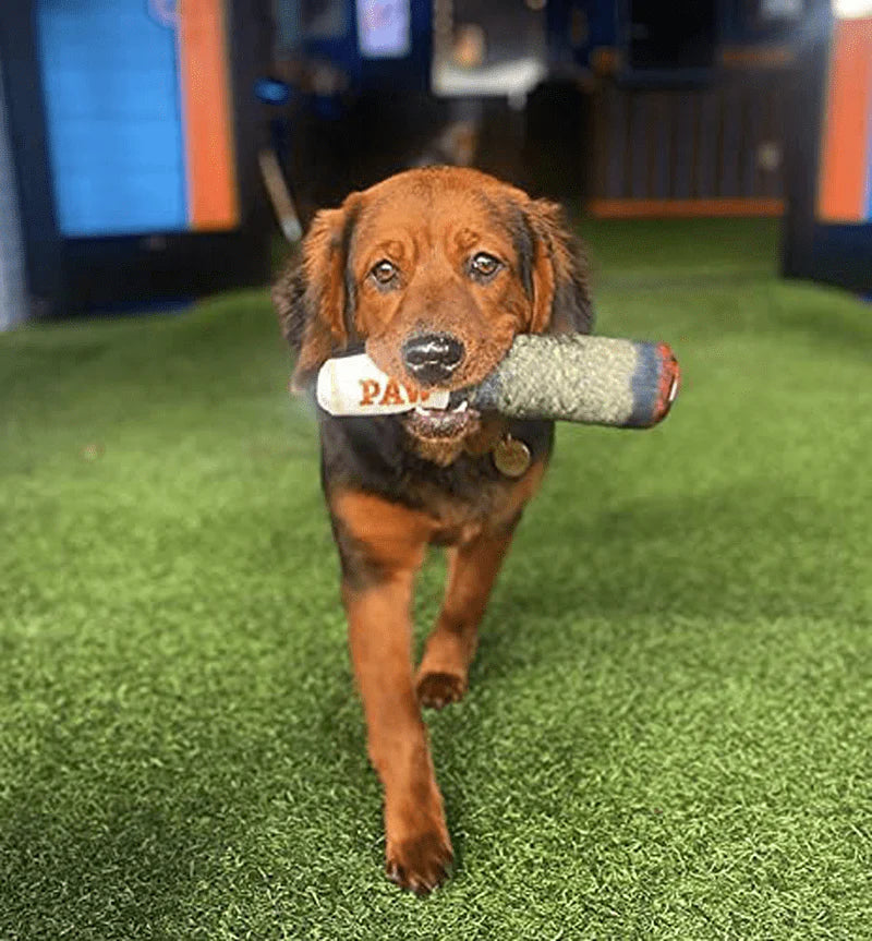 Doggy Doobie - Funny Dog Toys - Plush Squeaky Dog Toys for Medium, Small and Large - Cute Dog Gifts for Dog Birthday - Cool Stuffed Dog Toys Animals & Pet Supplies > Pet Supplies > Dog Supplies > Dog Toys Nestpark