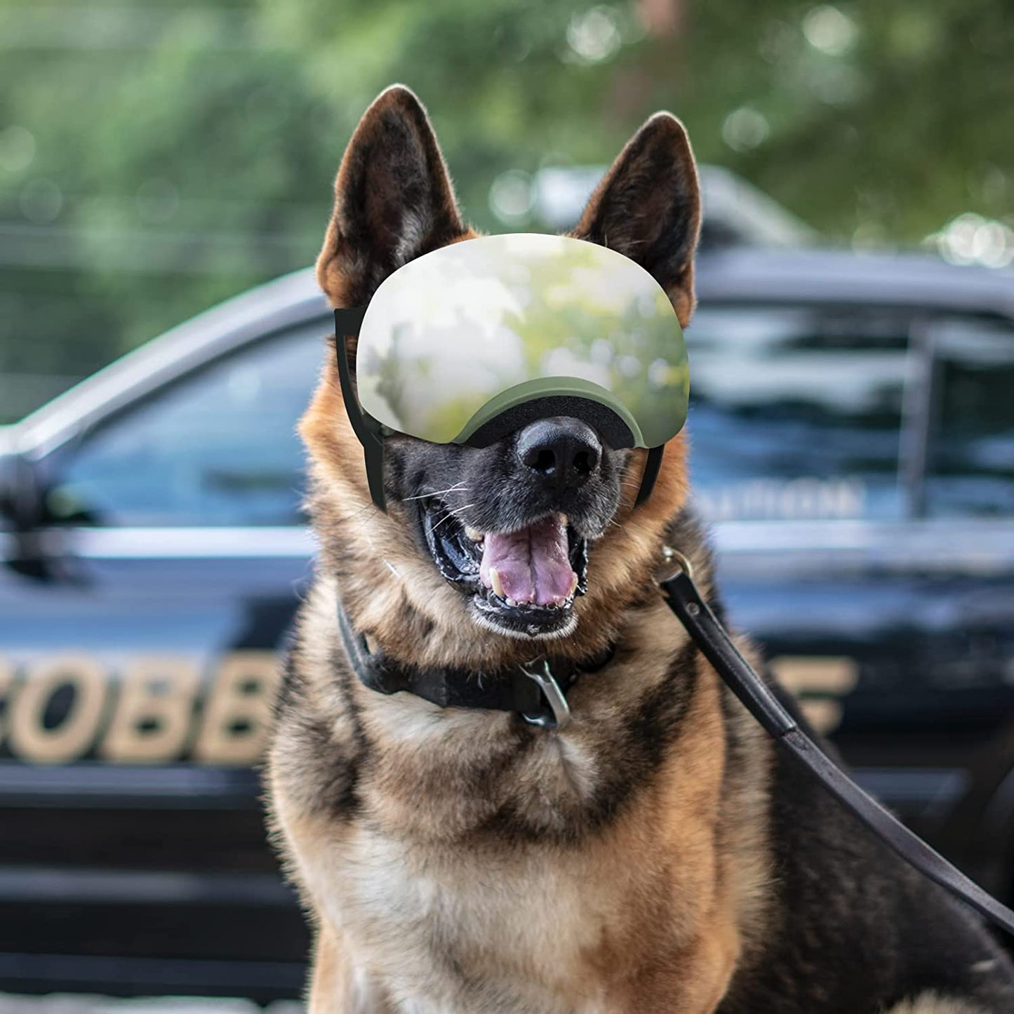 Enjoying Dog Sunglasses Large UV Protection Adjustable Dog Goggles Magnetic Lens Winproof Pet Glasses for Medium-Large Dogs, Soft Frame Eye Protective, Green Animals & Pet Supplies > Pet Supplies > Dog Supplies > Dog Apparel Enjoying