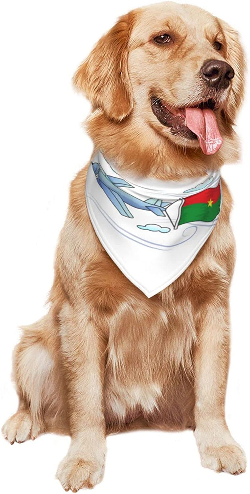 Airplane with Burkina Flag Pet Dog and Cat Decorative Triangle Scarf,Dog Bandana,Breathable and Stain Resistant. Animals & Pet Supplies > Pet Supplies > Dog Supplies > Dog Apparel ZALTAS