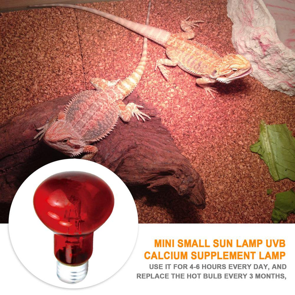 Houssem Aouar Reptile Heating Lamp Bulb High Intensity UVA Light Bulb Amphibian Basking Light Bulb Reptile Light Bulb for Turtle Bearded Dragon Lizard Responsible Houssem Aouar