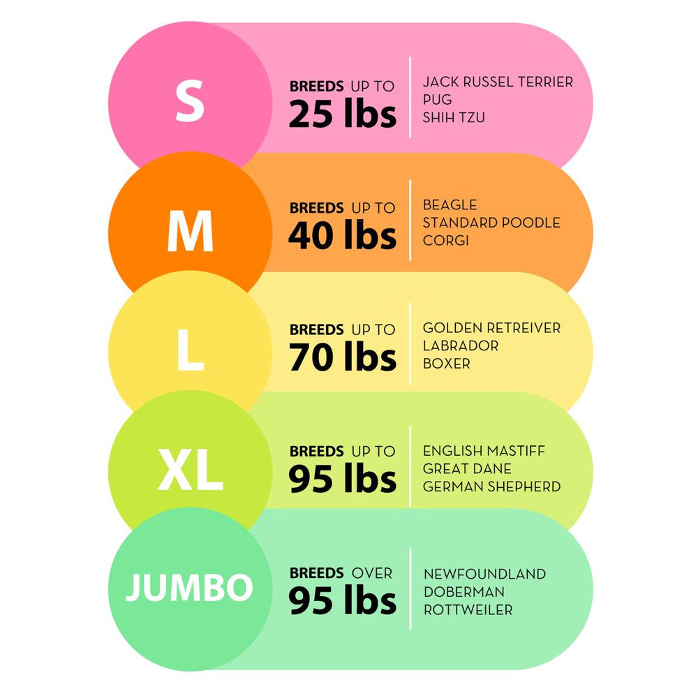 Vibrant Life Large Comfort Orthopedic Bolster-Style Dog Bed, Gray Animals & Pet Supplies > Pet Supplies > Cat Supplies > Cat Beds PM&J LLC