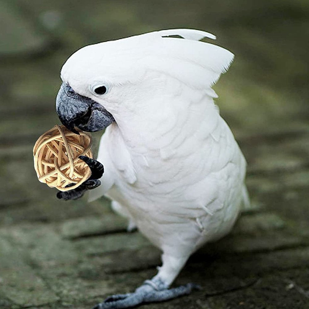 Bird Parrot Toys Swing Hanging Bird Cage Accessories Toy Perch Ladder Chewing Toys Hammock for Parakeets,Cockatiels Animals & Pet Supplies > Pet Supplies > Bird Supplies > Bird Ladders & Perches KOL PET