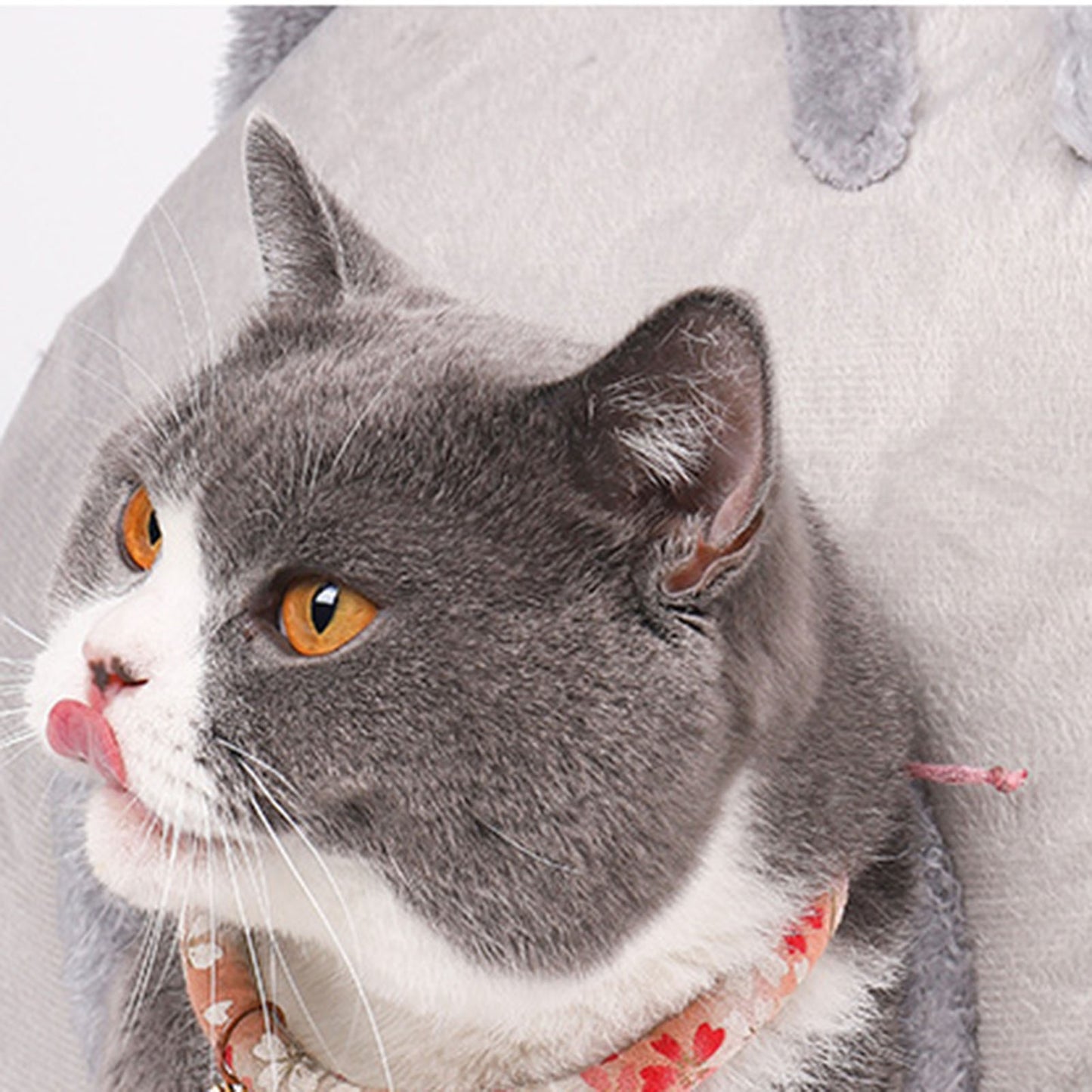 Sijiali Kitty Bed House Semi-Closed Detachable Comfortable Kitty Shaped Cat Nest for Pet Animals & Pet Supplies > Pet Supplies > Cat Supplies > Cat Beds Sijiali