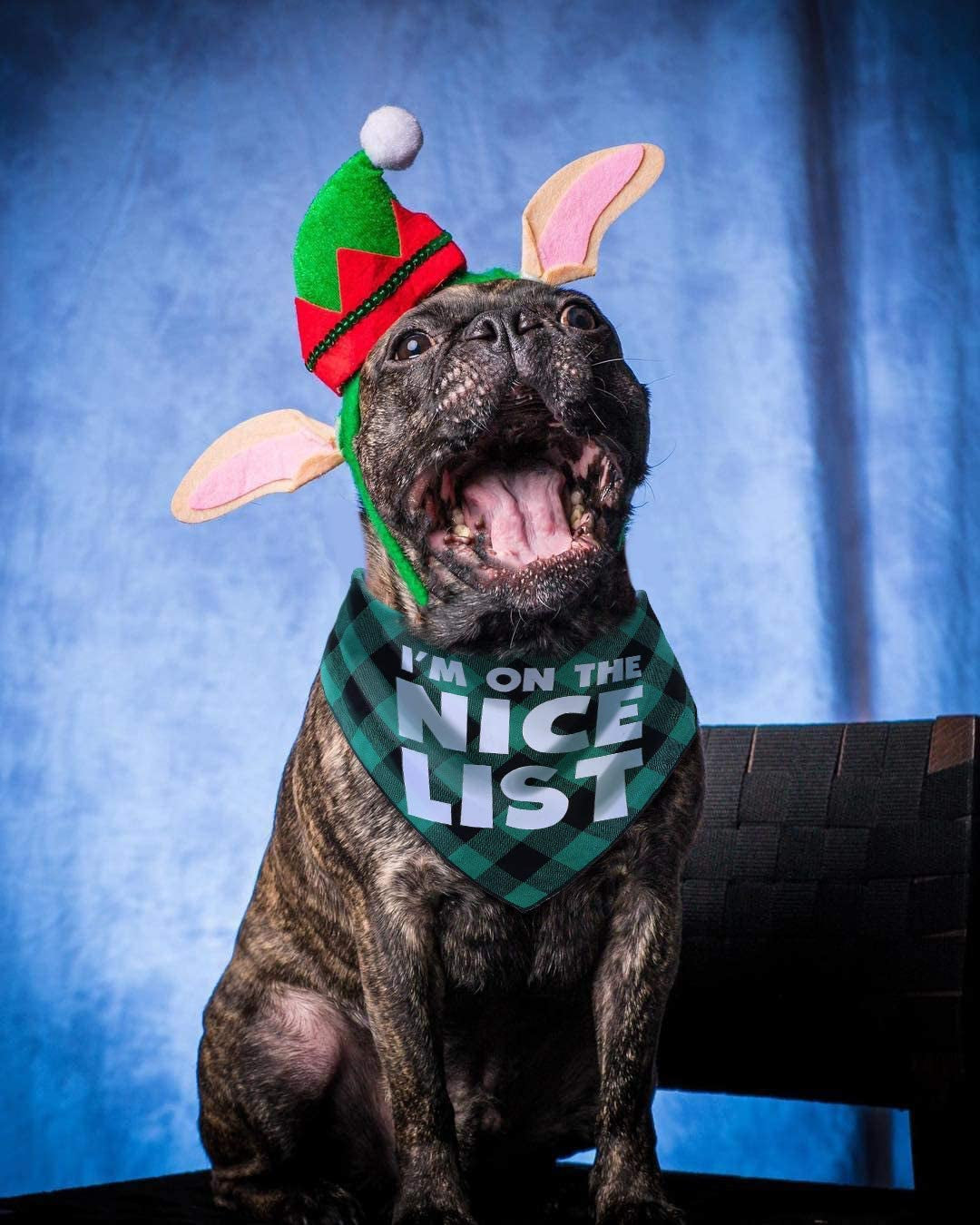 JPB Christmas Dog Bandana Pack of 4 Classic Buffalo Plaid Pets Scarf Triangle Bibs Kerchief Set Animals & Pet Supplies > Pet Supplies > Dog Supplies > Dog Apparel JPB