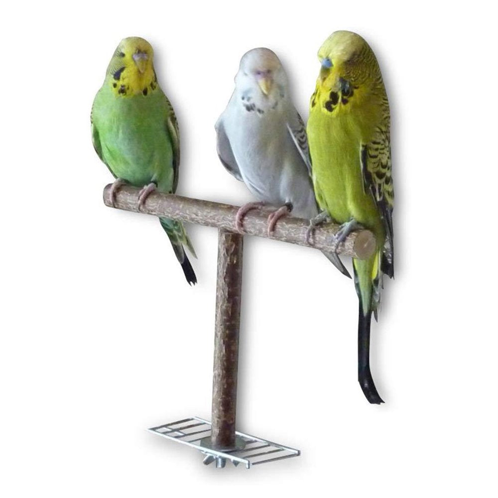 Visland T Bird Perch Stand,Wooden T Shape Bird Stands,Bird Play Stand, Portable Training Parrot Playstand,Bird Cage Toys for Cockatiels Parakeet Finch Lovebirds for Small Medium Bird by by World Animals & Pet Supplies > Pet Supplies > Bird Supplies > Bird Toys Visland