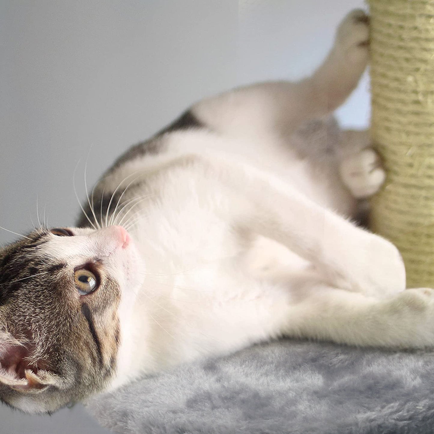 Elegant Choise 11" Double Cat Tree Towers Cat Condo Toy with Ball Scratching Post Tower Furniture,Gray Animals & Pet Supplies > Pet Supplies > Cat Supplies > Cat Furniture Elegant Choise