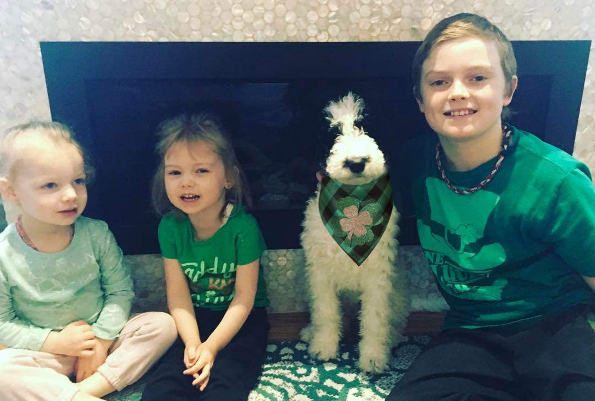 St Patricks Day Dog Bandanas with Shamrock Appliques,Plaid Pet Dog Puppy Holiday Scarf Animals & Pet Supplies > Pet Supplies > Dog Supplies > Dog Apparel Upaw