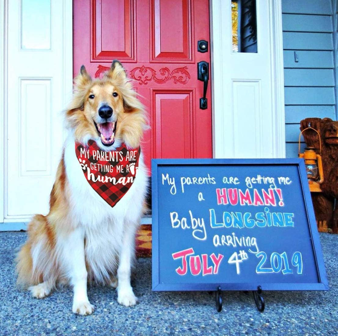 My Parents Are Getting Me a Human Dog Pregnancy Announcement Bandana,Buffalo Plaid Pet Gender Reveral Pet Scarf Animals & Pet Supplies > Pet Supplies > Dog Supplies > Dog Apparel JPB