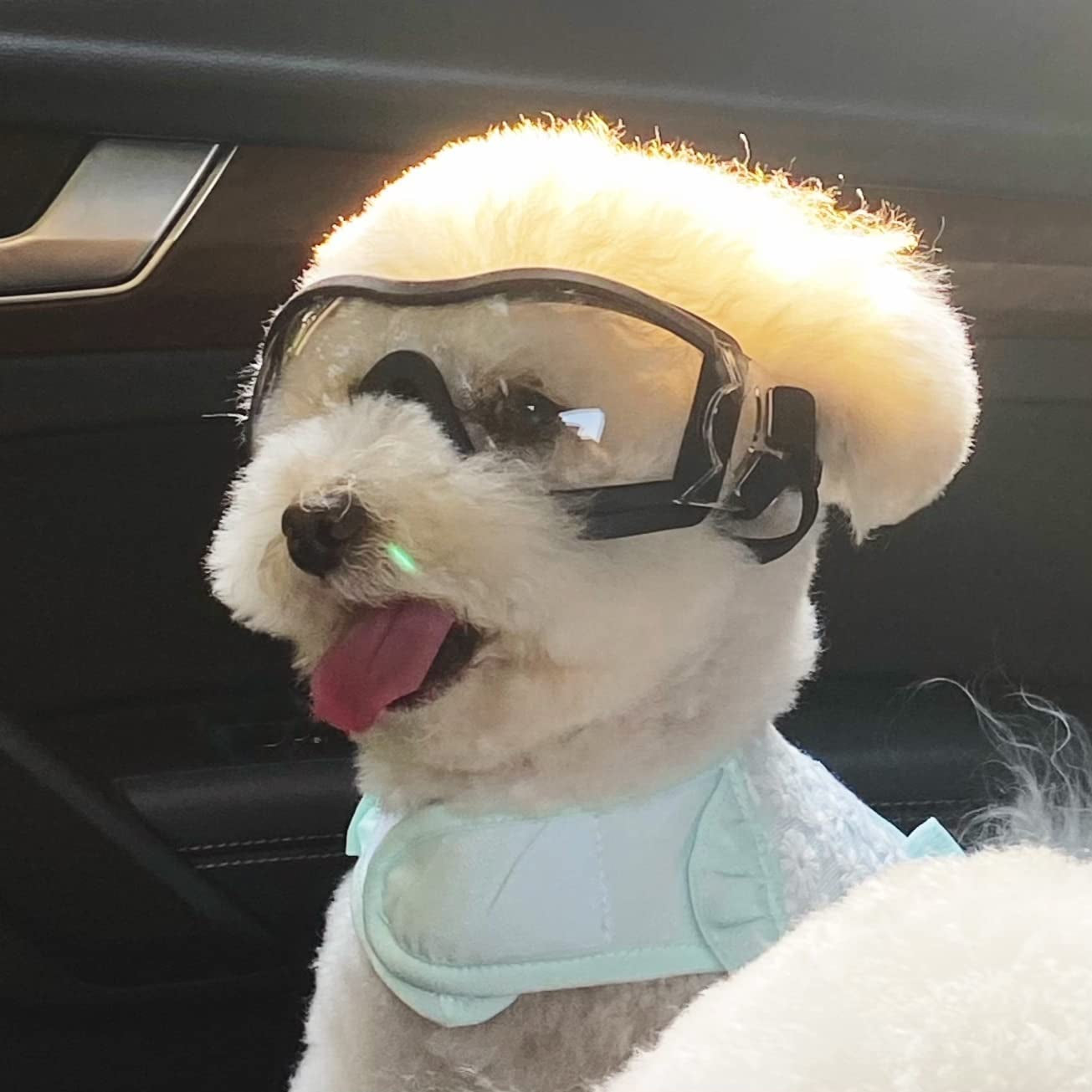 NAMSAN Dog Sunglasses Medium to Large Dog UV Transparent Goggles Windproof Anti-Dust Snowproof Pet Glasses with Elastic Straps, Clear Animals & Pet Supplies > Pet Supplies > Dog Supplies > Dog Apparel Namsan