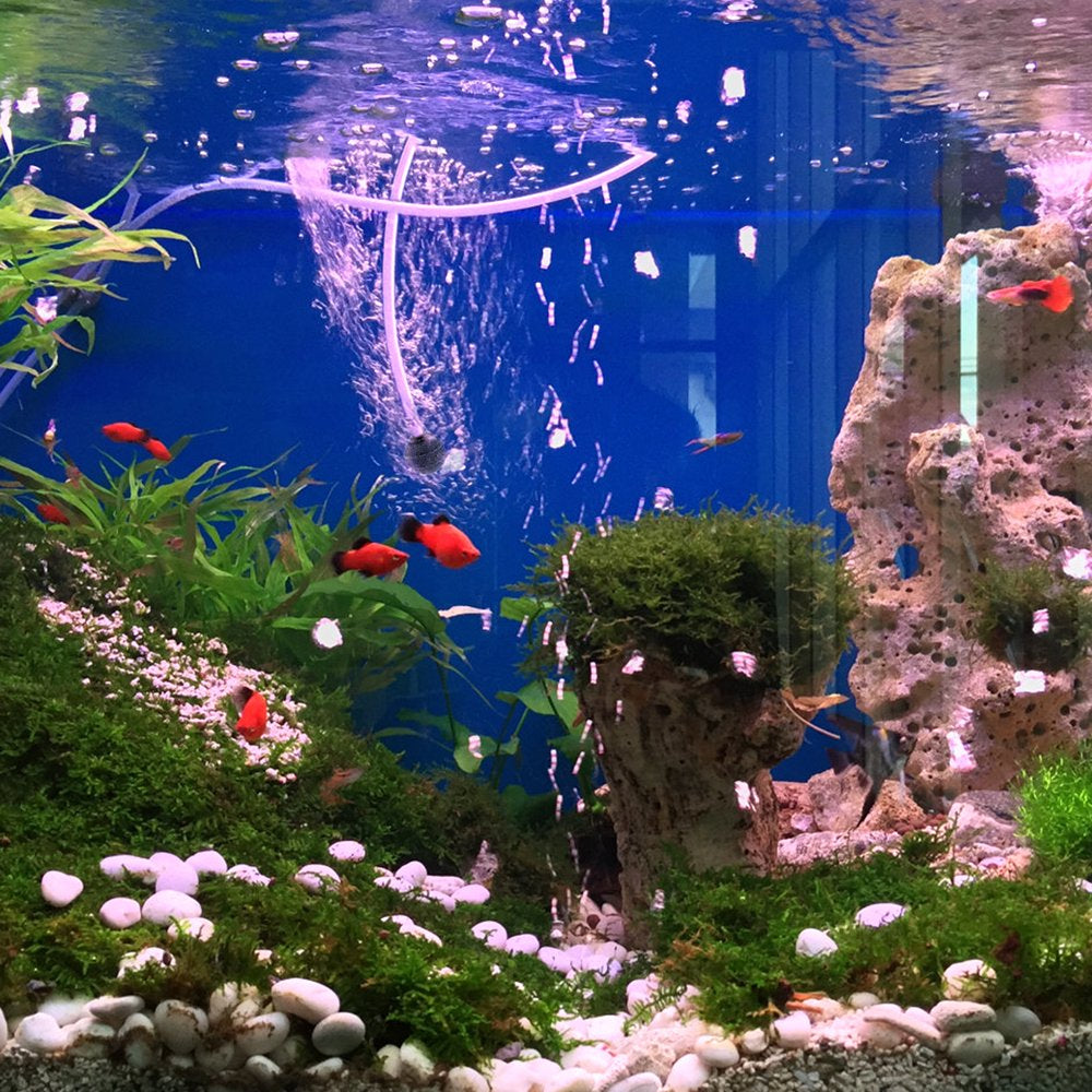 POPETPOP 12Pcs Fish Tank Air Pumps round Air Stones Pond Bubblers Air Pump Bubblers Bubble Diffusers for Aquarium Animals & Pet Supplies > Pet Supplies > Fish Supplies > Aquarium Air Stones & Diffusers HOMEMAXS