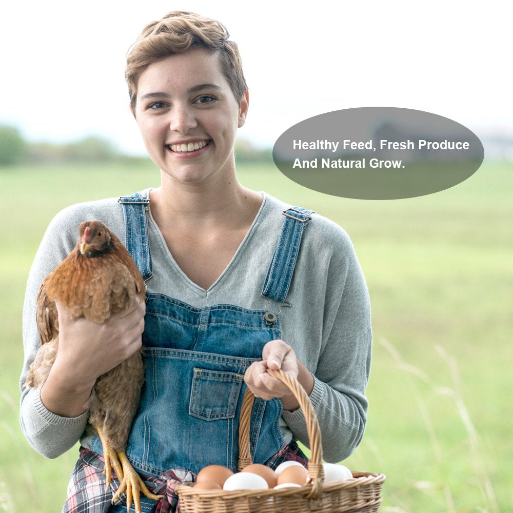 LUCKYQ Dried Mealworms 4.5Lb,High-Protein Bulk Mealworms for Birds, Chickens, Turtles, Fish, Hamsters, and Hedgehogs, Non-Gmo and Chemical Free, All Natural Animal Feed Animals & Pet Supplies > Pet Supplies > Small Animal Supplies > Small Animal Food LUCKYQ