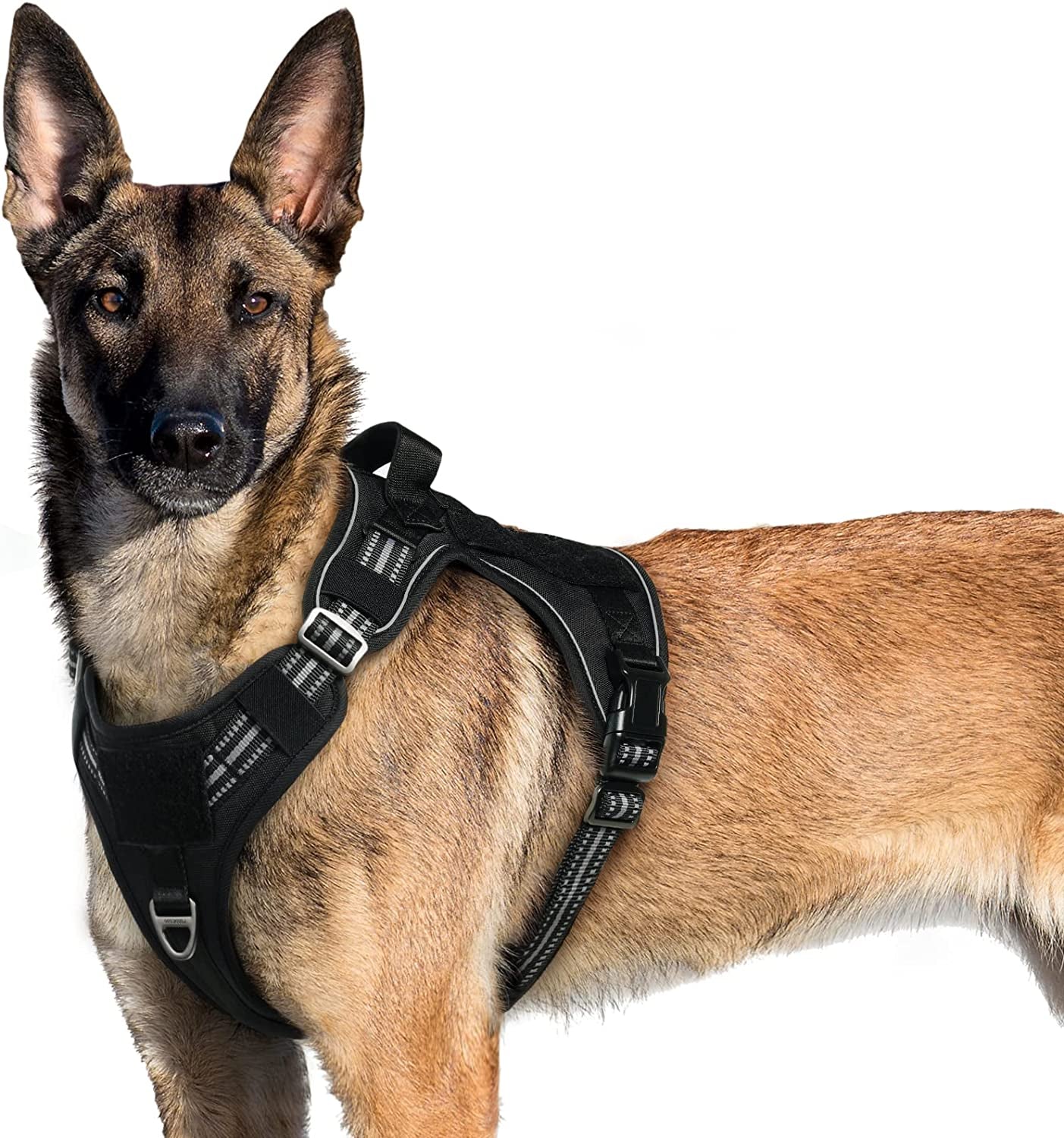 Rabbitgoo Tactical Dog Harness No Pull, Military Dog Vest Harness with Handle & Molle, Easy Control Service Dog Harness for Large Dogs Training Walking, Adjustable Reflective Pet Harness, Black, L Animals & Pet Supplies > Pet Supplies > Dog Supplies > Dog Apparel GLOBEGOU CO.,LTD Black X-Large 