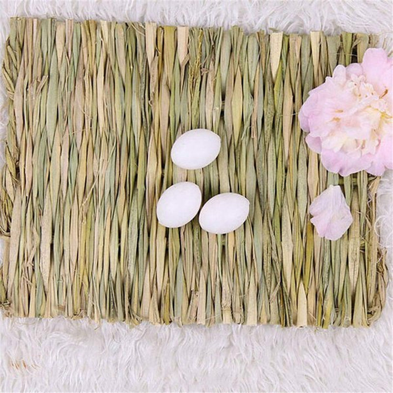 THREN 4Pack Rabbit Bunny Mat Grass Mats Natural Straw Woven Rabbits Safe & Edible Mats Cages Chew Toys Bed for Small Animal Guinea Pig Parrot Rabbit Bunny Hamster Animals & Pet Supplies > Pet Supplies > Small Animal Supplies > Small Animal Bedding THRENS