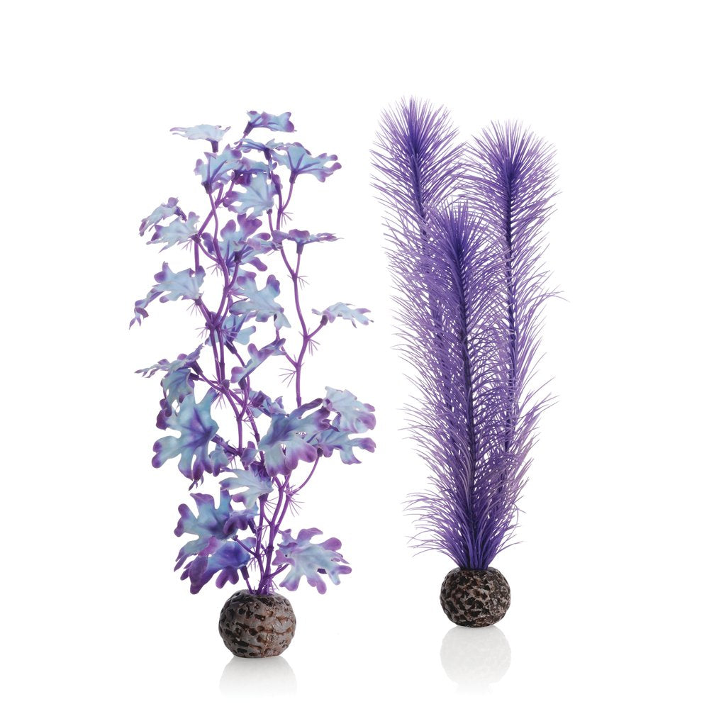 Kelp Set Medium Pink Animals & Pet Supplies > Pet Supplies > Fish Supplies > Aquarium Decor Oase Purple