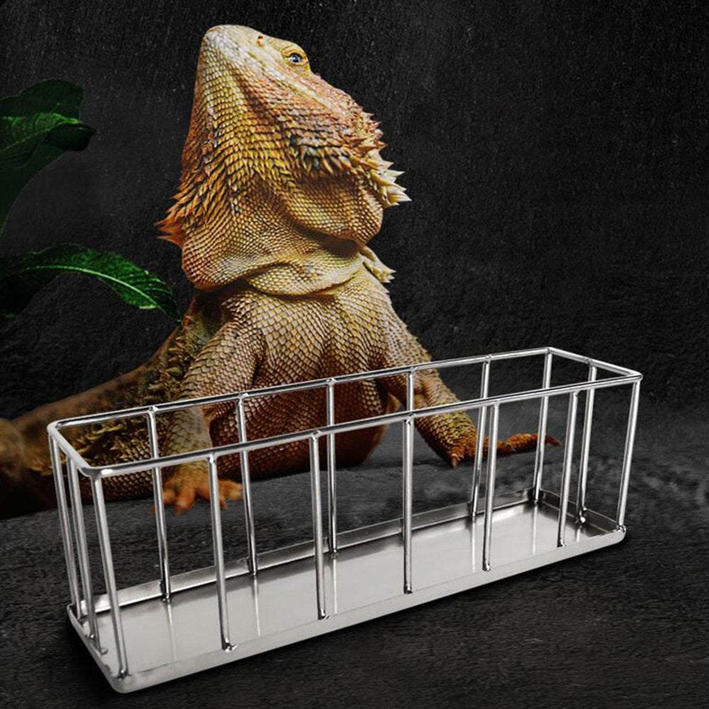 Rectangle Tortoise Feeder Stainless Steel Pet Reptile Food Dispenser Tool Smooth Animals & Pet Supplies > Pet Supplies > Reptile & Amphibian Supplies > Reptile & Amphibian Food Gazechimp