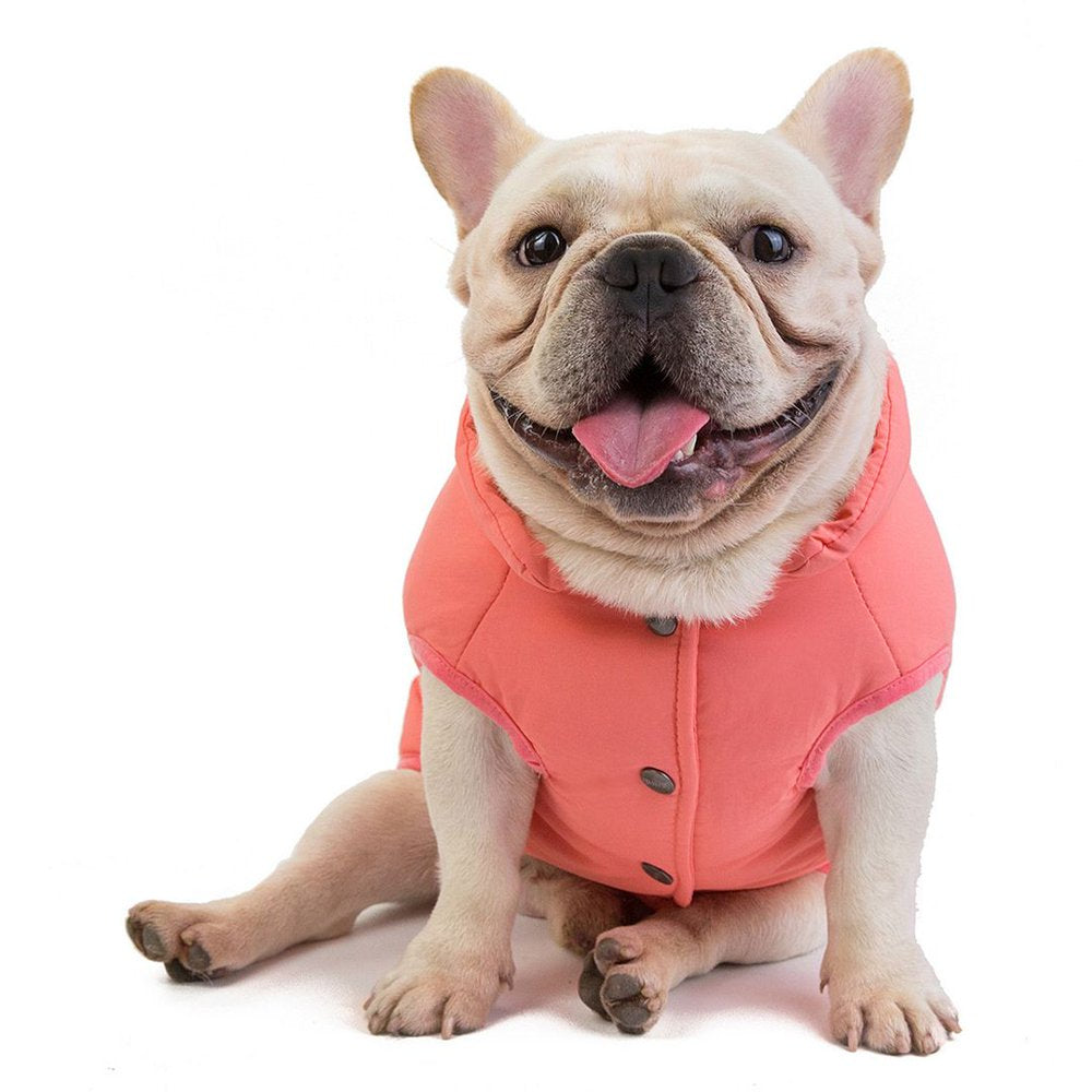 Hiheart Dogs Pet Apparel Padded Water Resistant Windproof Winter Vest for Small Medium Puppies Green XL Animals & Pet Supplies > Pet Supplies > Dog Supplies > Dog Apparel Daai Apparel Co LTD XL Pink