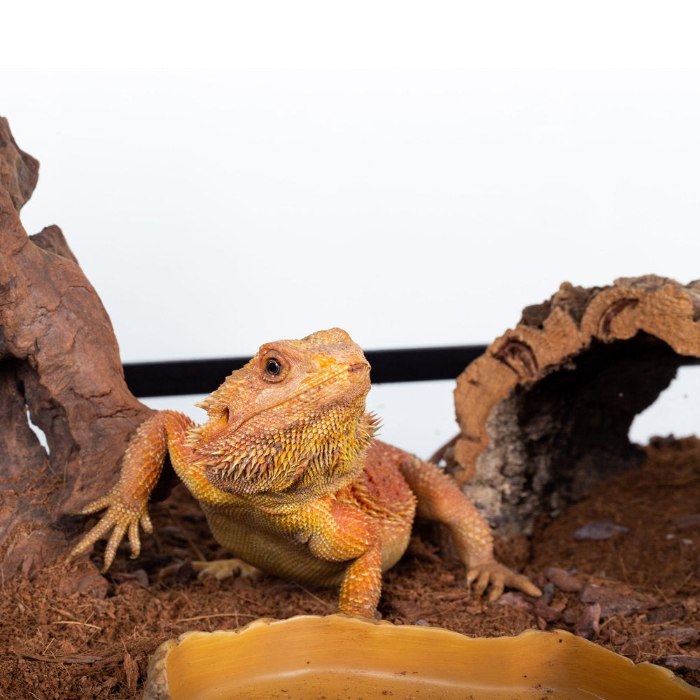 REPTI-ZOO Reptile Glass Terrarium with Double Hinge Door 24" X 18" X 12.6"(24 Gallon) Animals & Pet Supplies > Pet Supplies > Reptile & Amphibian Supplies > Reptile & Amphibian Substrates Etan Pet Supplies Inc.