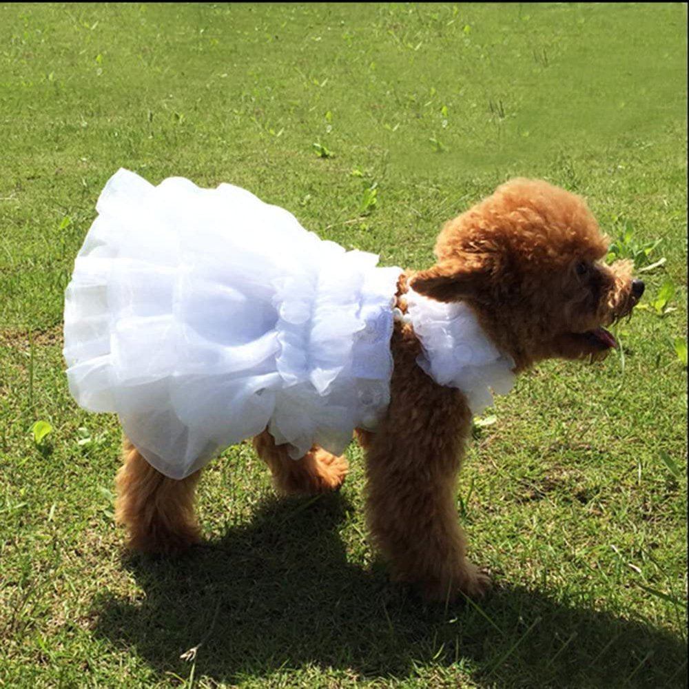 Dog Wedding Dress Bride Outfit with Pearl Necklace and Rose Pet Princess Formal Apparel for Puppy Cat Animals & Pet Supplies > Pet Supplies > Cat Supplies > Cat Apparel Acndey