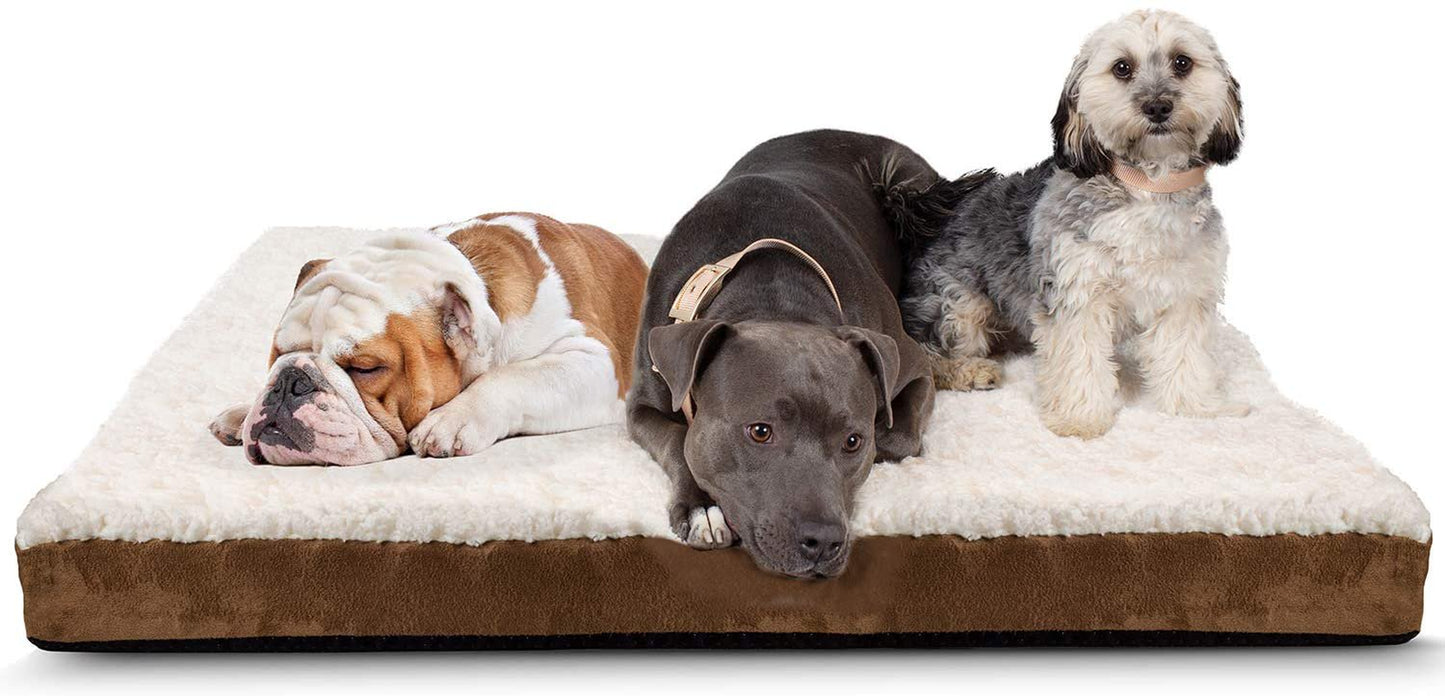 Paws & Pals Orthopedic Pet Bed Foam-Mattress Dogs and Cats (Medium 30 Long X 20 Wide) Animals & Pet Supplies > Pet Supplies > Cat Supplies > Cat Beds Paws & Pals XL Beige