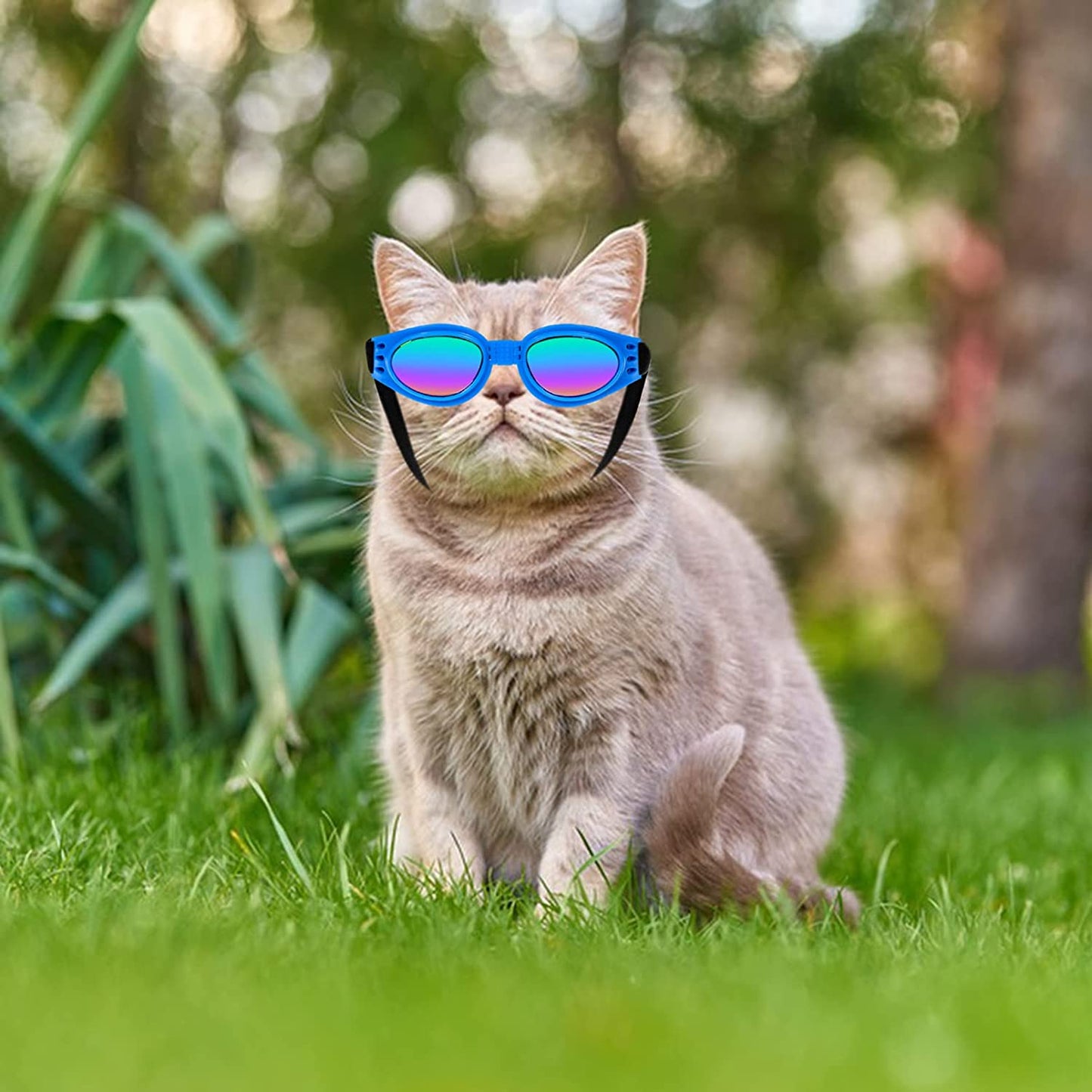 Dog Goggles, Stylish Cool Dog Sunglasses, Adjustable Waterproof Windproof UV Protection Dog Glasses, for Car Travel Swim Animals & Pet Supplies > Pet Supplies > Dog Supplies > Dog Apparel BLLREMIPSUR