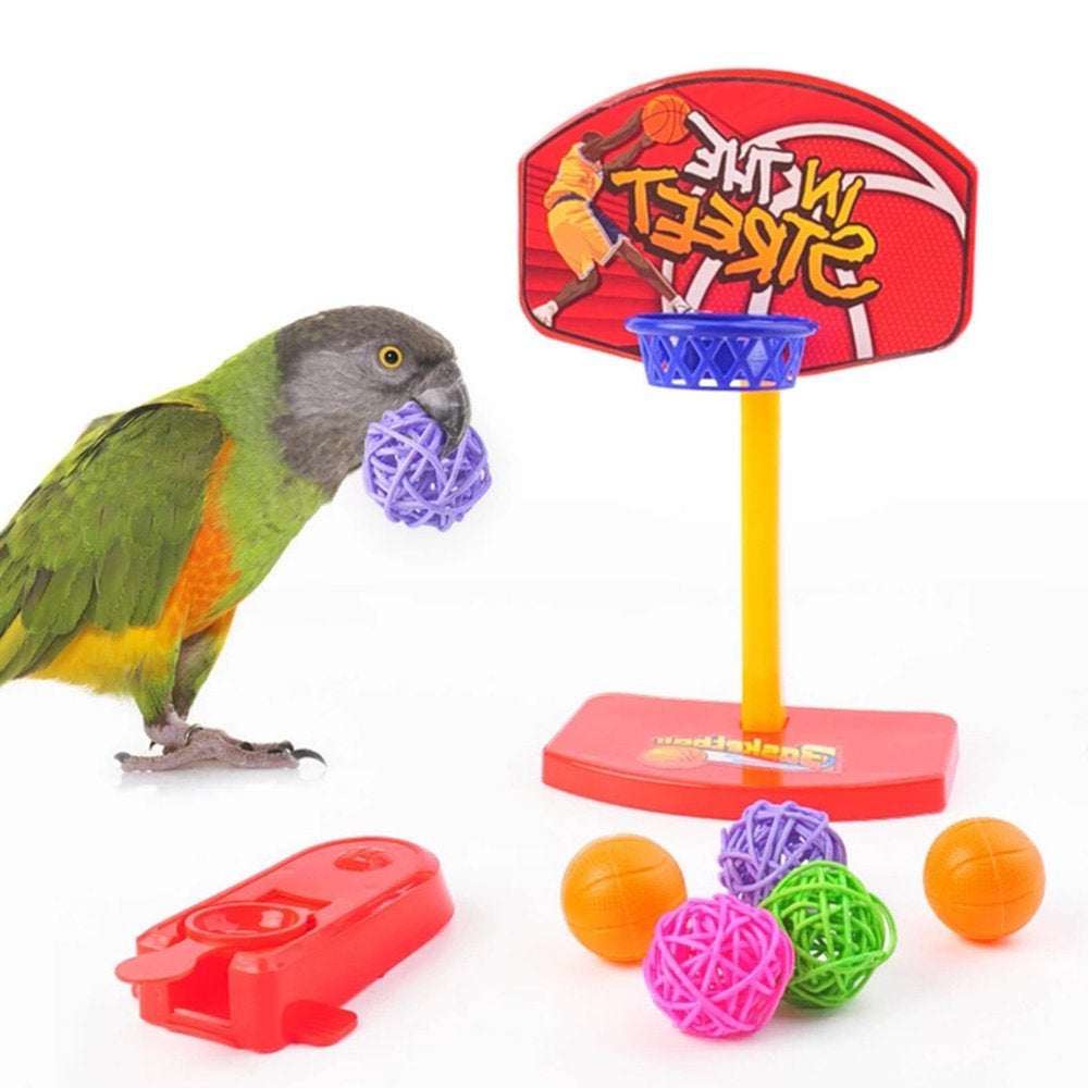 Bojue Creative Bird Toy Set Plastic Conure Funny Daily Play Interactive Durable Pet Toy Accessories Animals & Pet Supplies > Pet Supplies > Bird Supplies > Bird Toys Bojue