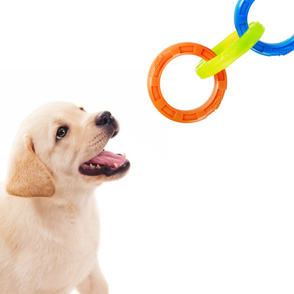 Nerf Dog Rubber 3-Ring Tuff Tug Dog Toy for Medium/Large Dogs, Lightweight Tug & Chew Toy, 10.5” Animals & Pet Supplies > Pet Supplies > Dog Supplies > Dog Toys Gramercy Products