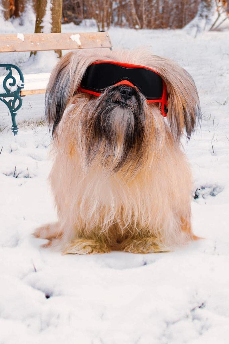 SHAMR Dog Sunglasses Dog Goggles Doggles UV Eye Protection Dog Glasses for Small to Medium Breed, Dust and Water Proof with Soft Frame (Red) Animals & Pet Supplies > Pet Supplies > Dog Supplies > Dog Apparel SHAMR