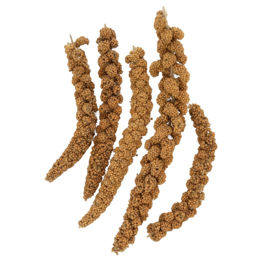 FM Brown Extreme Spray Millet 16 Oz. Animals & Pet Supplies > Pet Supplies > Bird Supplies > Bird Treats FM Browns Sons, Inc