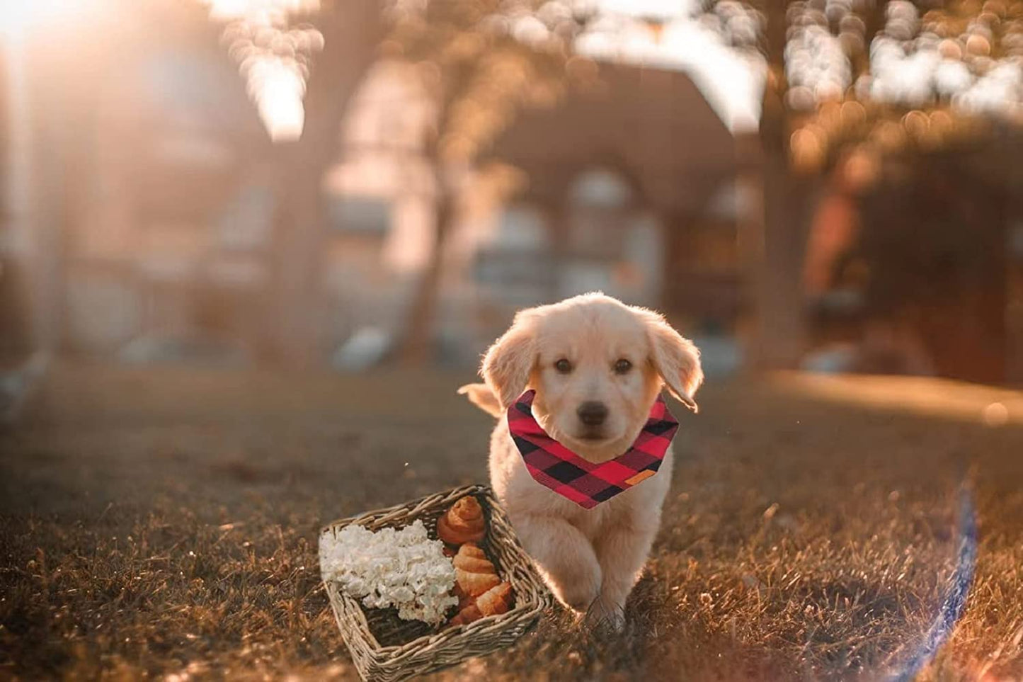 YBXZ Buffalo Plaid Dog Bandanas 1Pack,Red Flannel Bandanas Scarfs Triangle Bibs for Small Medium Large Size Dogs and Cats Double Layer Thickening Washable. Animals & Pet Supplies > Pet Supplies > Dog Supplies > Dog Apparel CRMADA