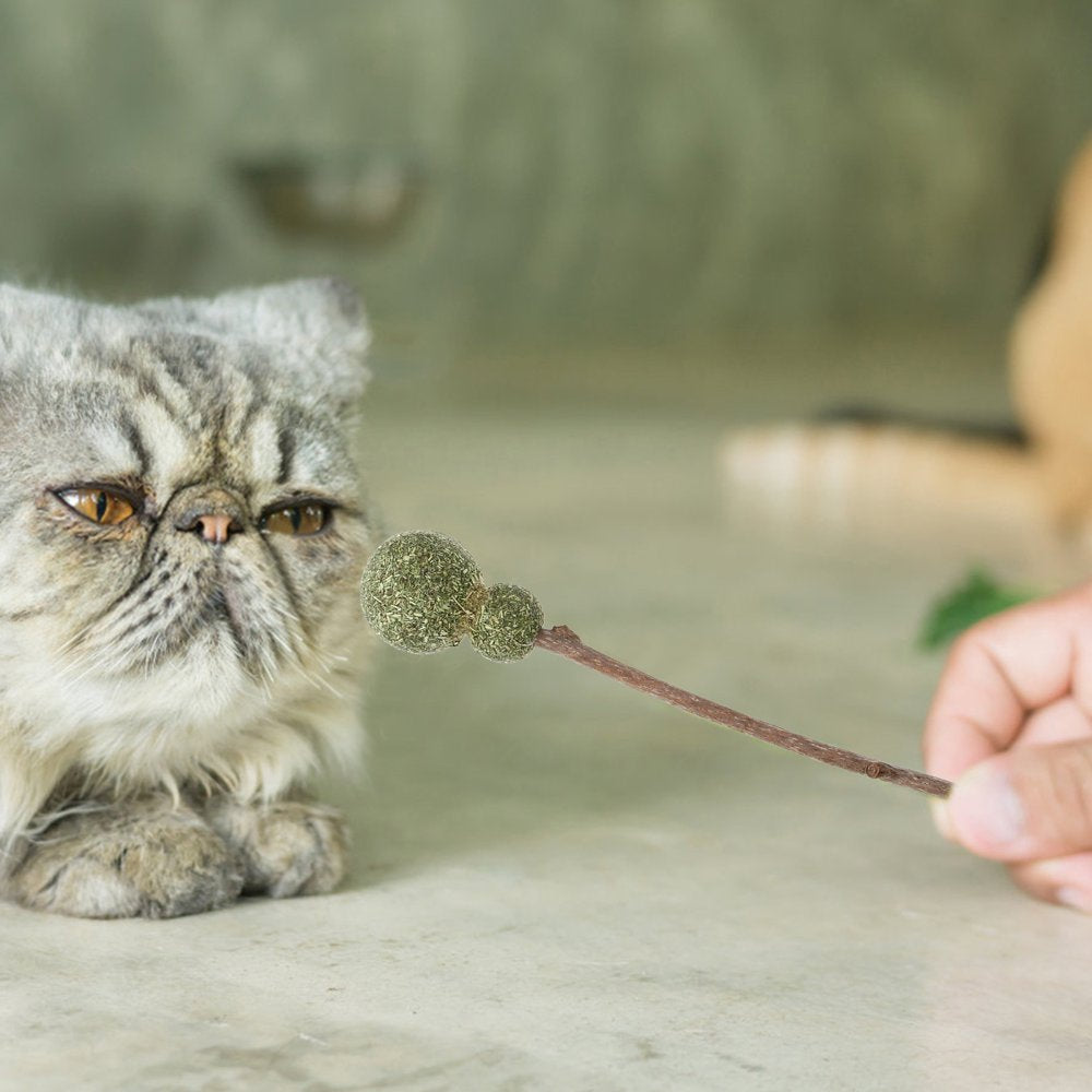 NUOLUX 5Pcs Catnip Lollipops Edible Cat Snacks Natural Catnip Sticks Cat Treats (Rancom Style) Animals & Pet Supplies > Pet Supplies > Cat Supplies > Cat Treats NUOLUX