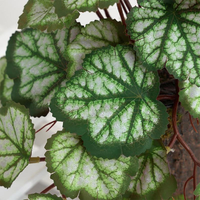 Artificial Reptile Plants Lifelike Terrarium 3D Printed Leaves Amphibian Plant for Tank Habitat Decoration for Iguana Fo Animals & Pet Supplies > Pet Supplies > Reptile & Amphibian Supplies > Reptile & Amphibian Habitats EXPANSEA