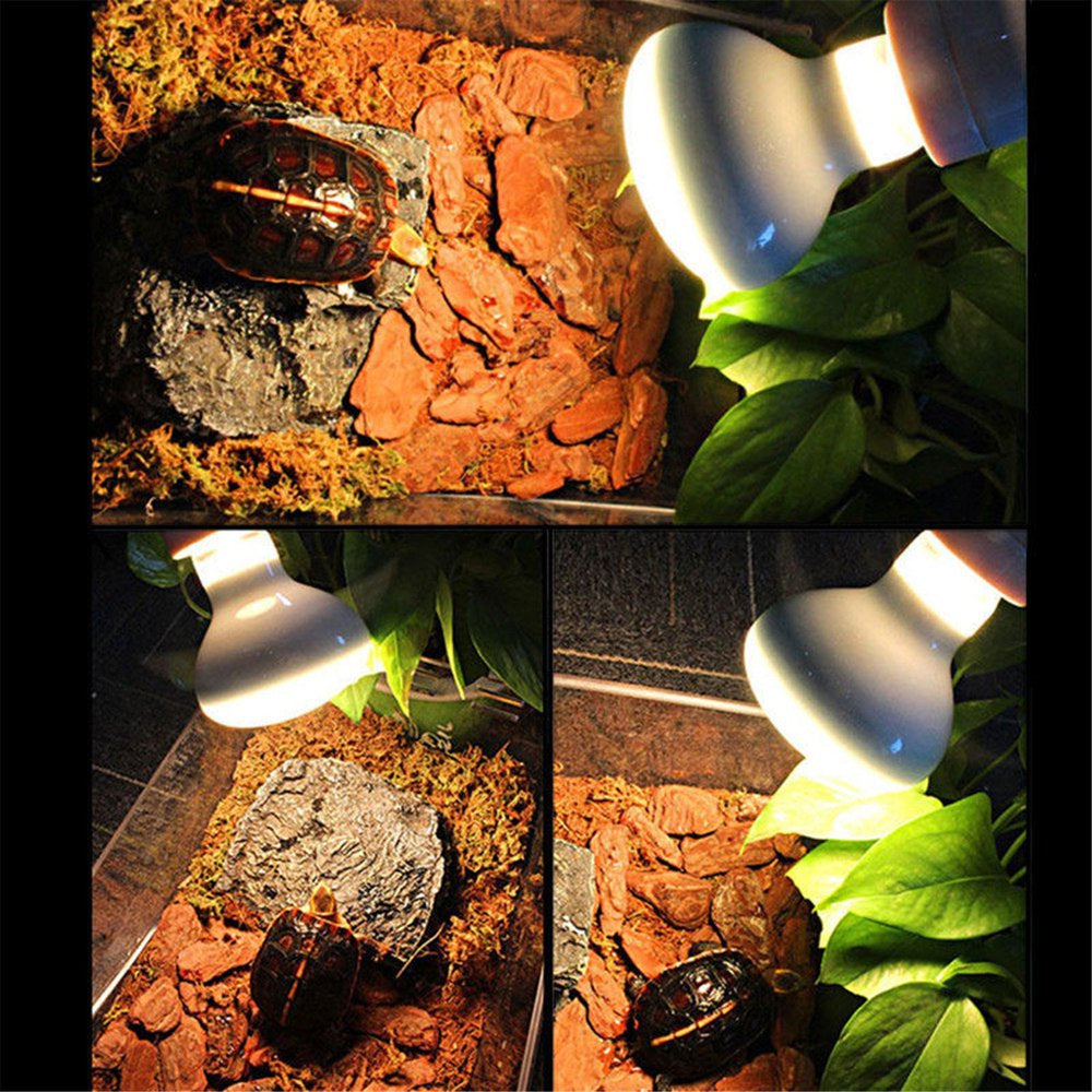 Pet Heating Lamp Amphibian Sun Lamp Reptile Heat Bulb 220V Hattfart