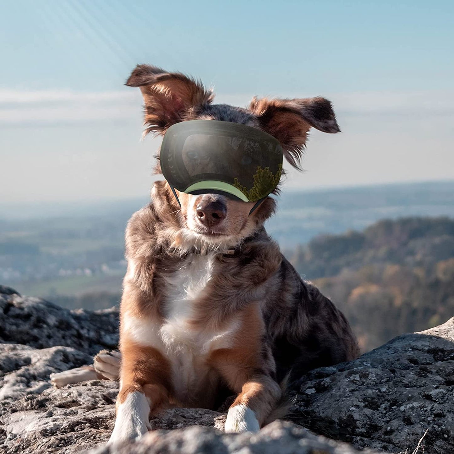 NAMSAN Dog Goggles Medium-Large Breed UV Dog Sunglasses Magnetic Clear Black Lens Windproof Snow Sports Pet Glasses, Green Animals & Pet Supplies > Pet Supplies > Dog Supplies > Dog Apparel Namsan