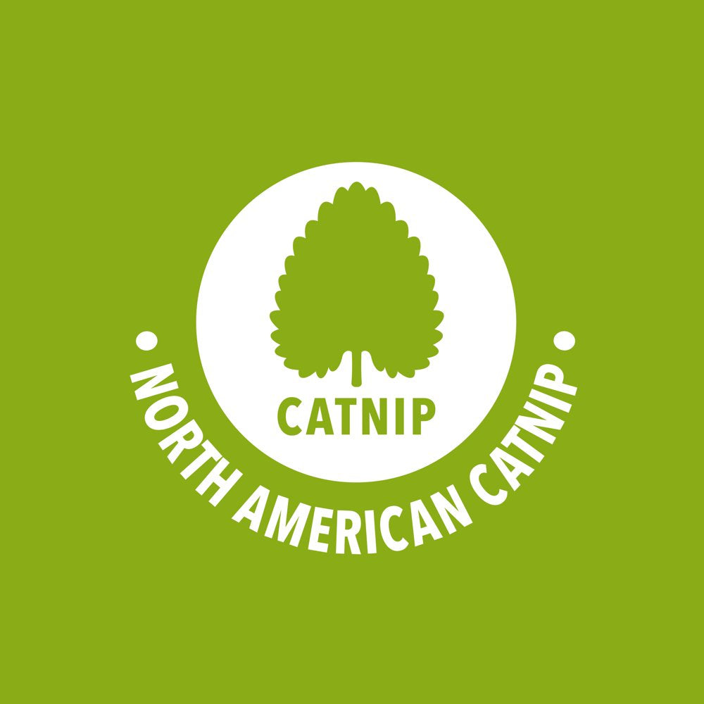 Vibrant Life Swat-A-Squid Coil, 1Pk, Blue Animals & Pet Supplies > Pet Supplies > Cat Supplies > Cat Toys Vibrant Life