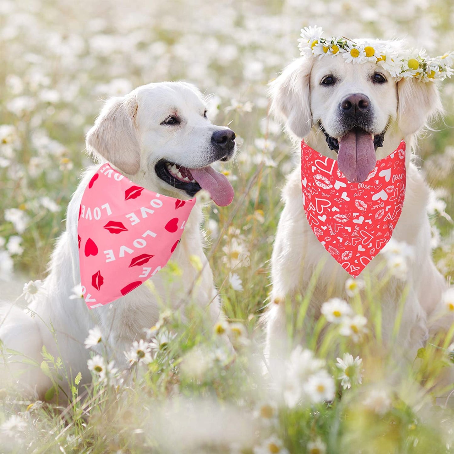 Adoggygo Valentine'S Day Dog Bandana, Multiple Sizes Offered, Reversible Triangle Dog Scarf Pet Bandana for Medium Large Dogs (Large, Valentine'S Day) Animals & Pet Supplies > Pet Supplies > Dog Supplies > Dog Apparel ADOGGYGO