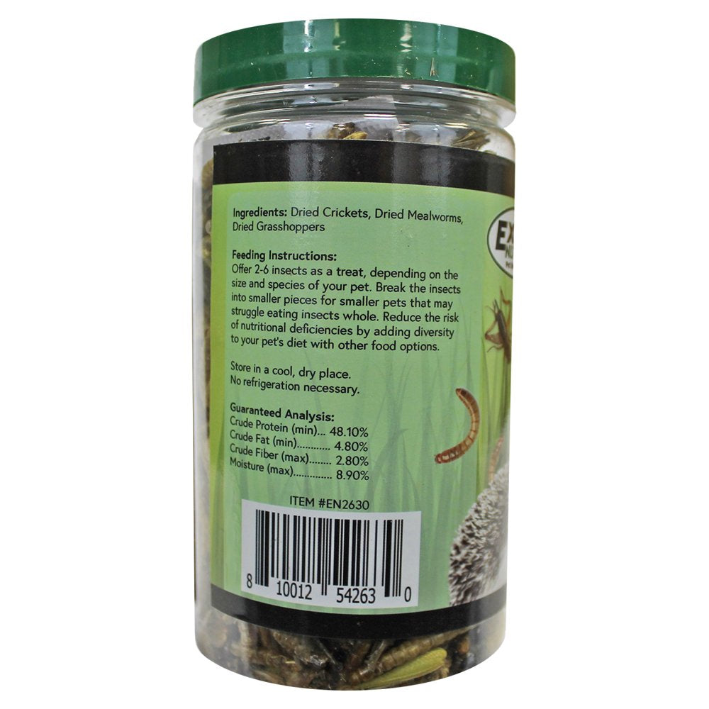 Exotic Nutrition Dried Bug Blend Treat 1.71 Oz. Animals & Pet Supplies > Pet Supplies > Small Animal Supplies > Small Animal Food Exotic Nutrition