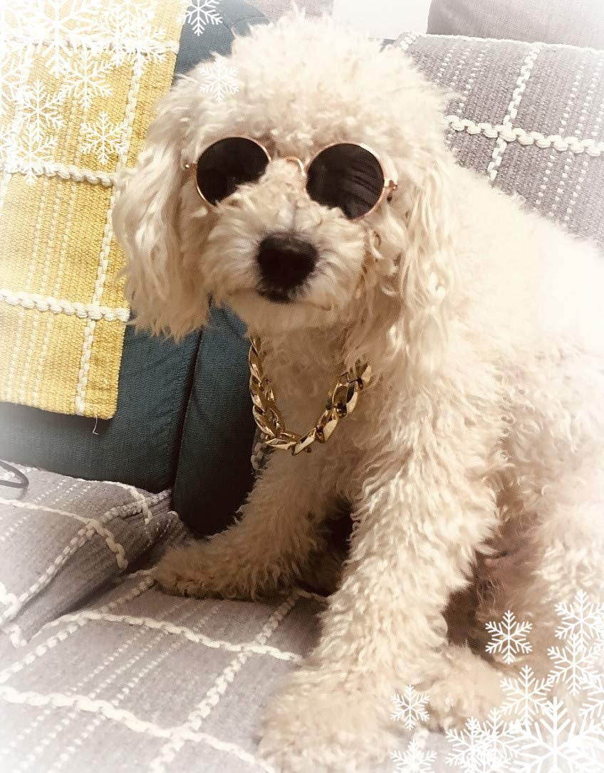 Costume Sunglasses Hat Classic Retro Funny Best Gift for Pet Cat Puppy Small Medium Dog Birthday Cosplay Party Weekend Animals & Pet Supplies > Pet Supplies > Dog Supplies > Dog Apparel CatYou