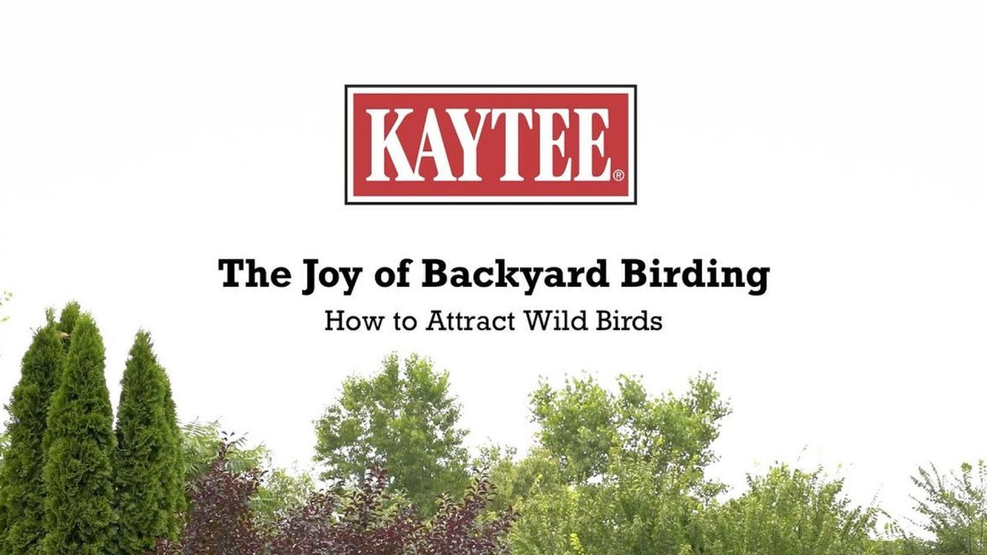 Kaytee Nut & Fruit Seed Wild Bird Feed Treat Bell, 15 Oz. Animals & Pet Supplies > Pet Supplies > Bird Supplies > Bird Treats Kaytee Products Inc.