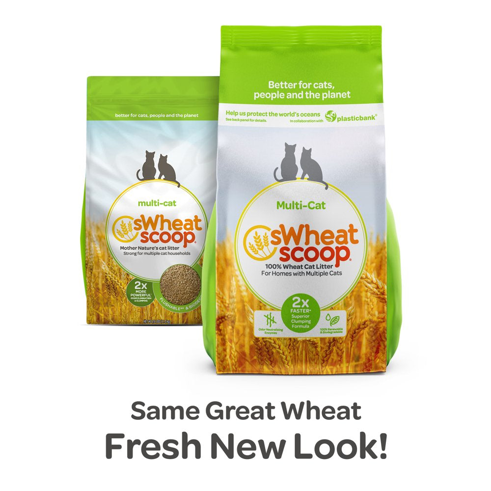 Swheat Scoop Multi-Cat Natural Clumping Wheat Cat Litter, 25Lb Animals & Pet Supplies > Pet Supplies > Cat Supplies > Cat Litter sWheat Scoop, LLC