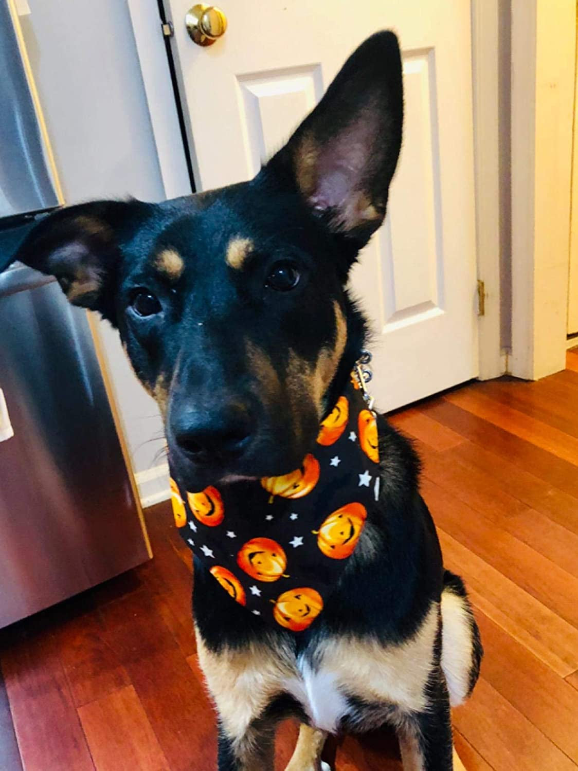 KZHAREEN Halloween Dog Bandana Triangle Bibs Scarf Accessories- Pumpkin Pattern Animals & Pet Supplies > Pet Supplies > Dog Supplies > Dog Apparel KZHAREEN