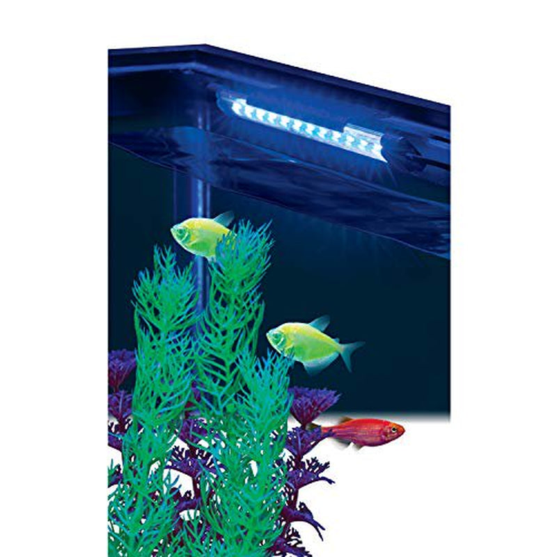 Glofish Blue LED Light 6 Inch, for Aquariums up to 10 Gallons Animals & Pet Supplies > Pet Supplies > Fish Supplies > Aquarium Lighting GloFish