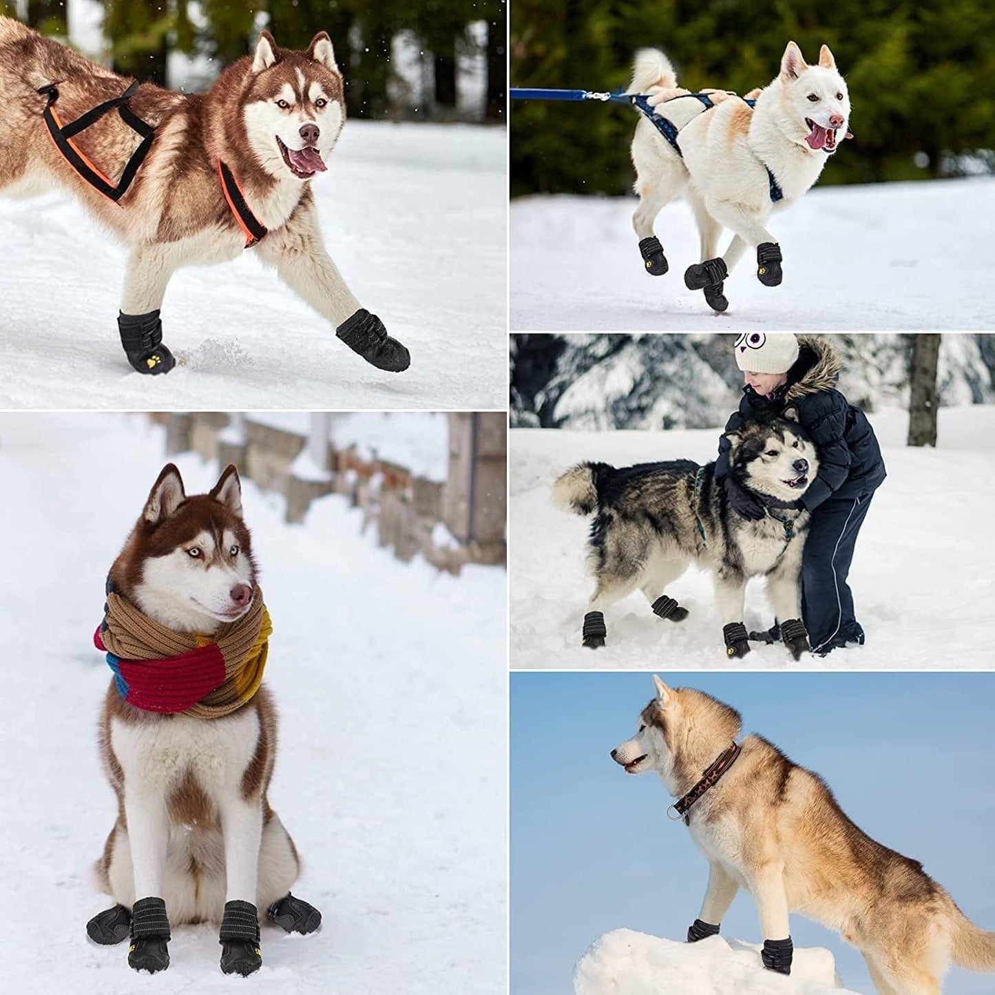 Flowraliki Dog Boots, Waterproof Dog Shoes, Dog Booties with Reflective Rugged Anti-Slip Sole, for Small Medium Large Dog 4PCS (Size 3, Black) Animals & Pet Supplies > Pet Supplies > Dog Supplies > Dog Apparel FLOWRALiKI