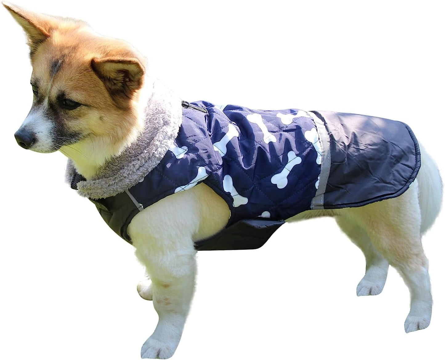Joydaog Fleece Collar Reversible Dog Coats for Small Dogs Waterproof Warm Puppy Jacket for Cold Winter,Black M Animals & Pet Supplies > Pet Supplies > Dog Supplies > Dog Apparel JoyDaog Blue Large (Pack of 1)