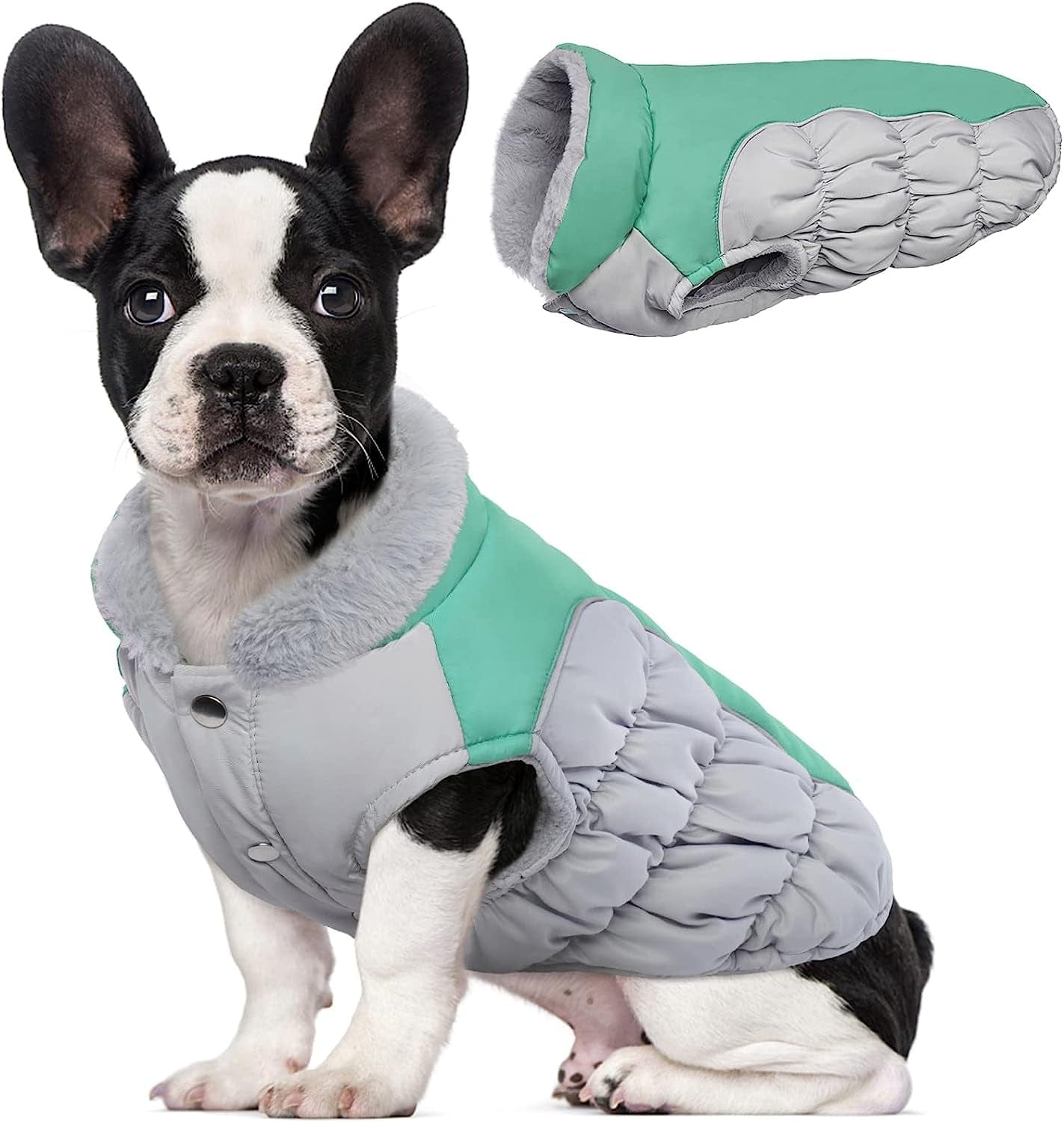 Kuoser Padded Dog Coat, Warm Dog Jacket with Thicken Furry Collar, Dog Cold Weather Coats for Small Medium Dogs Reflective Windproof Dog Clothes XS-XL Animals & Pet Supplies > Pet Supplies > Dog Supplies > Dog Apparel Kuoser Green Small (Chest Girth: 13.8-17.3'')