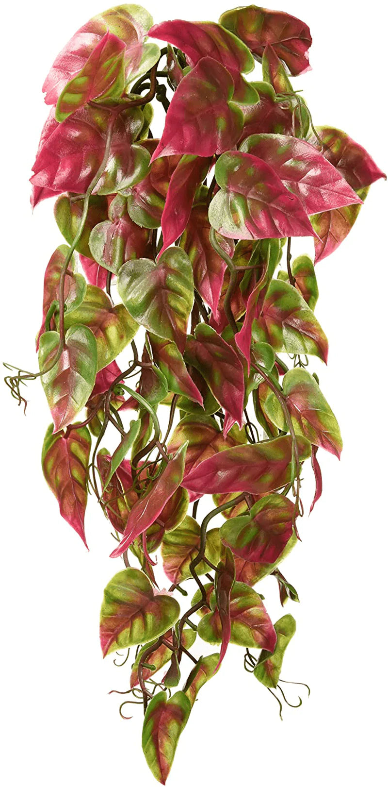 Penn-Plax Reptology Climber Vine Reptile Terrarium Plant Decor Red & Green 12Inch (REP422) Animals & Pet Supplies > Pet Supplies > Reptile & Amphibian Supplies > Reptile & Amphibian Substrates Penn-Plax
