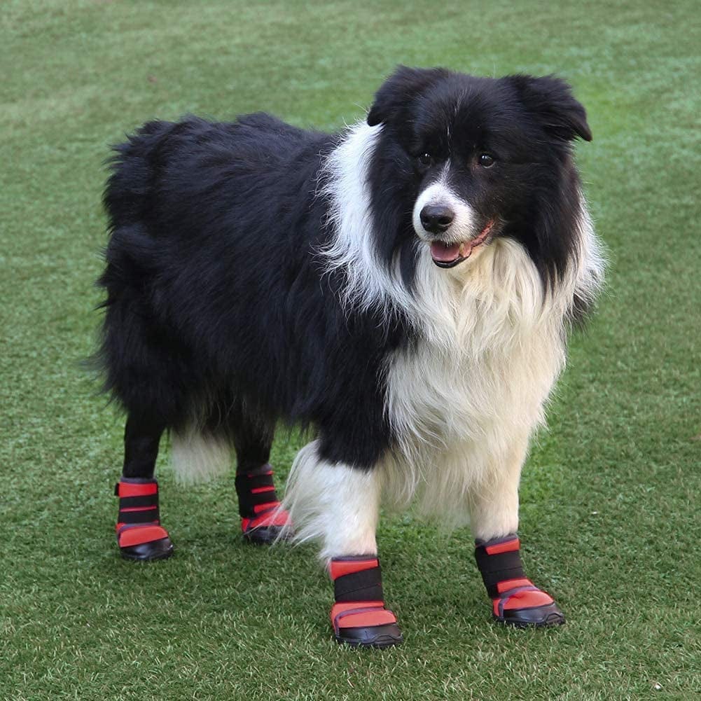 PETLOFT Dog Boots, Slip Resistant Waterproof 4Pcs Dog Puppy Shoes for Small Medium Large Dogs with Adjustable Fastener Strap, Protect Pet Paws Easy to Wear (L, Red) Animals & Pet Supplies > Pet Supplies > Dog Supplies > Dog Apparel J&D Tech