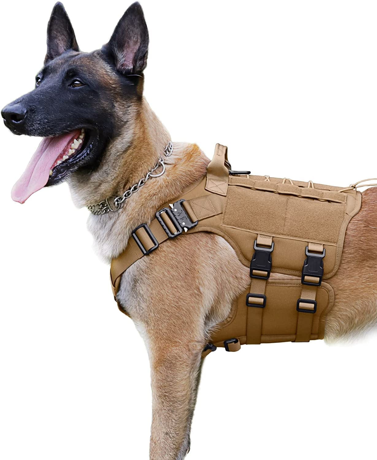 PETNANNY Tactical Dog Harness - 2 Metal Buckle, Service Dog Vest Harne –  KOL PET
