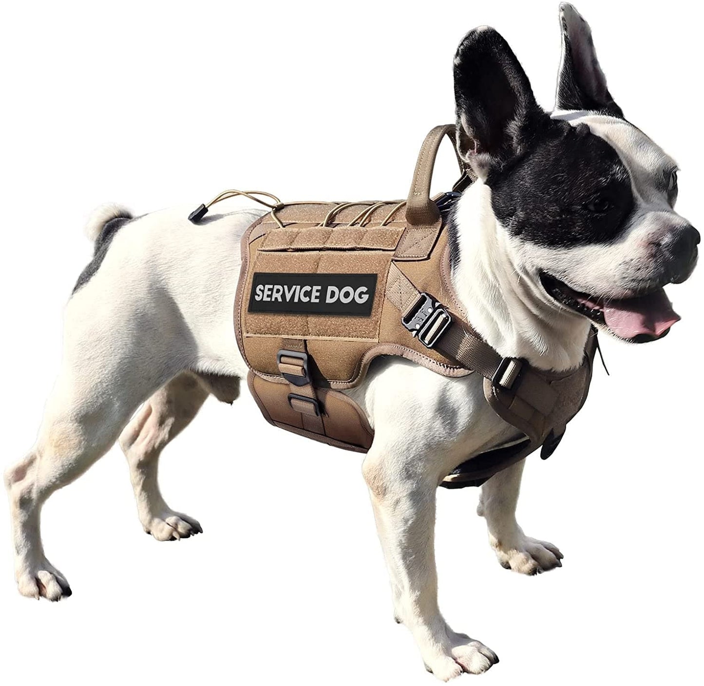 PETNANNY Tactical Dog Harness - Service Dog Harness Emotional Support Dog Vest for Medium Large Dogs, No Pull ESA Dog Vest with Hook & Loop, Working Molle Vest for Training Hunting… Animals & Pet Supplies > Pet Supplies > Dog Supplies > Dog Apparel PETNANNY Khaki S 